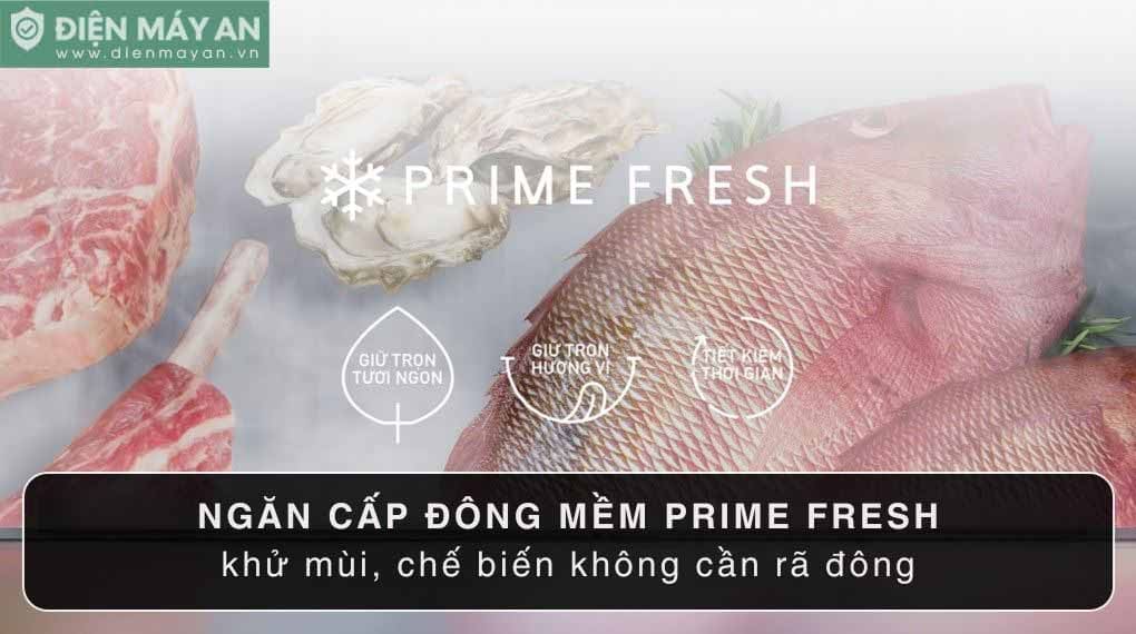 Tủ lạnh Panasonic Inverter 255 lít NR-BV281BGMV